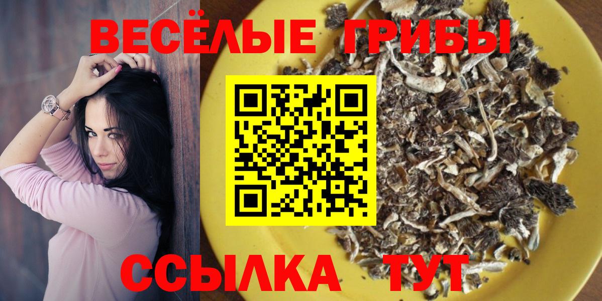Галлюциногенные грибы GOLDEN TEACHER Сургут