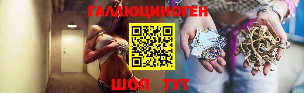 Псилоцибиновые грибы Psilocybe  цены   Сургут 